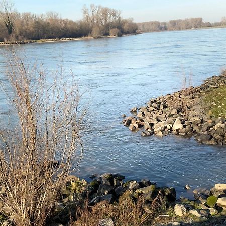 Ferienhaus Hoffmann Am Rheinbogen Altlussheim Exteriör bild