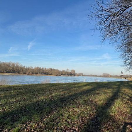 Ferienhaus Hoffmann Am Rheinbogen Altlussheim Exteriör bild