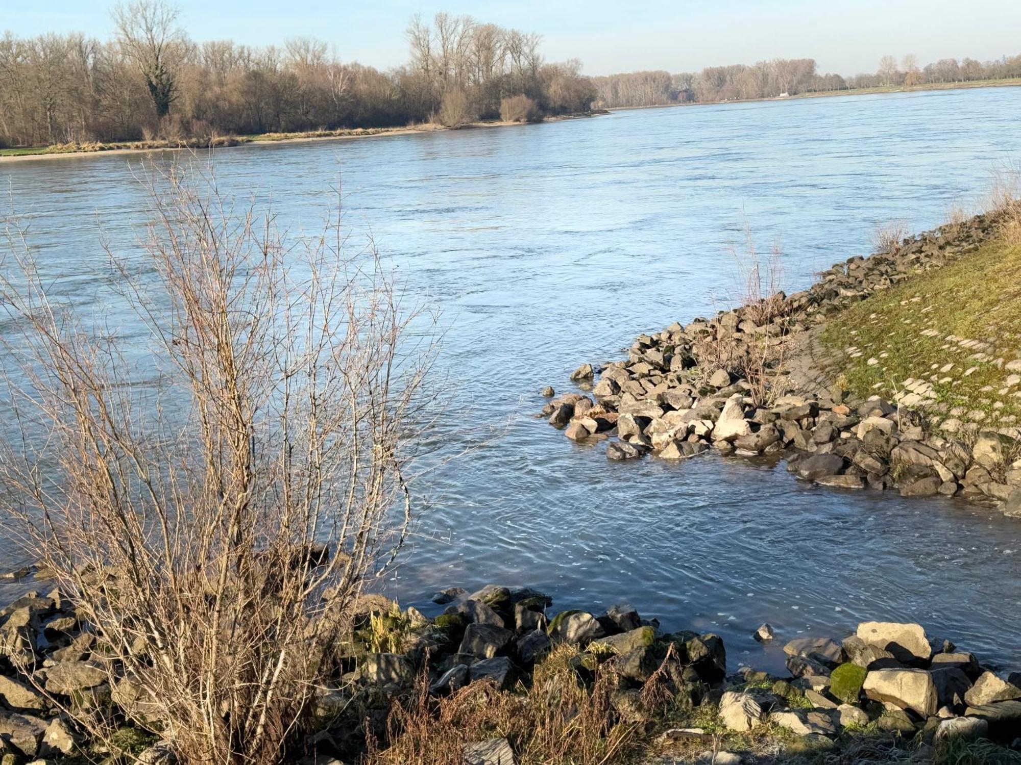 Ferienhaus Hoffmann Am Rheinbogen Altlussheim Exteriör bild