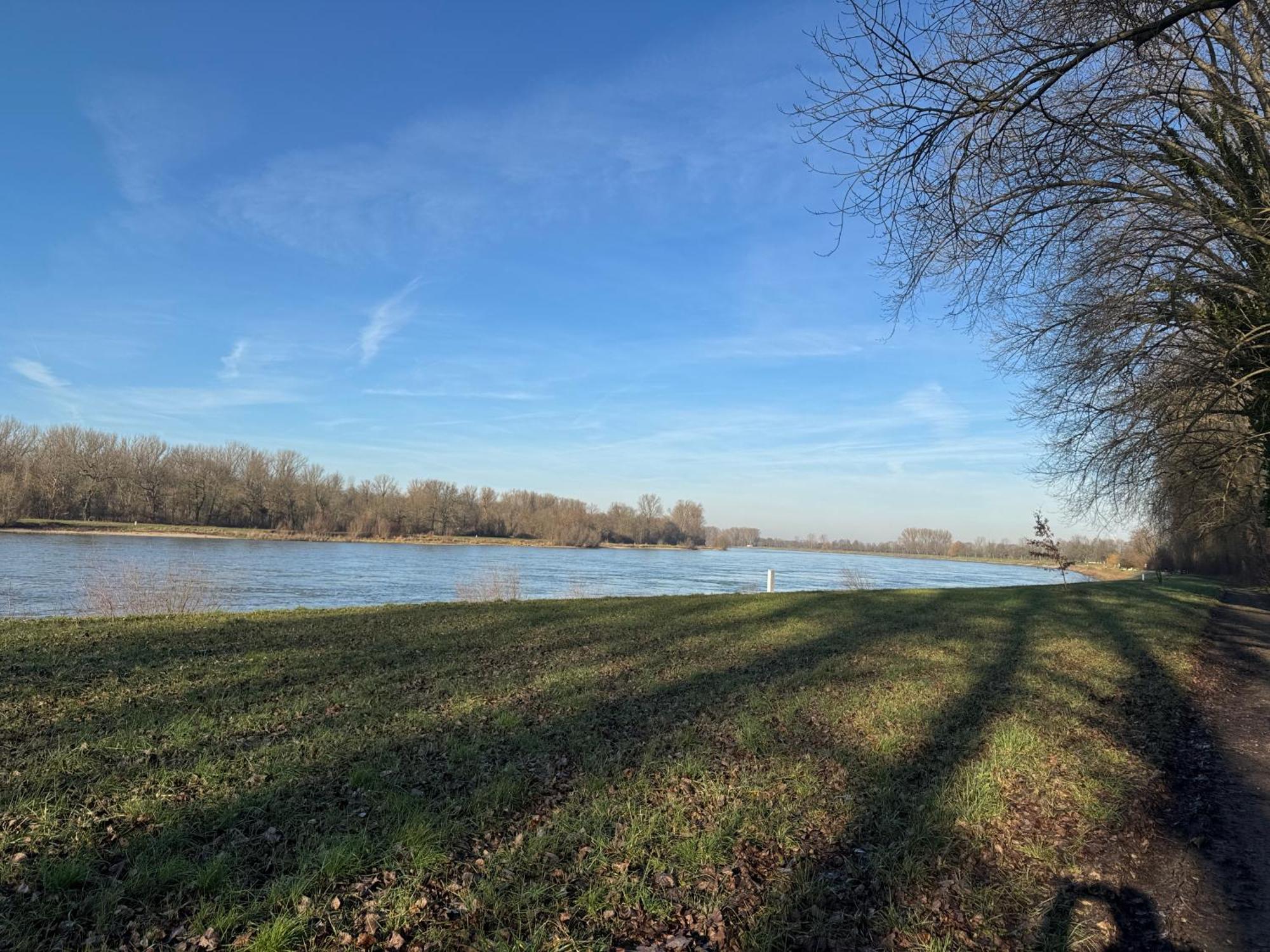 Ferienhaus Hoffmann Am Rheinbogen Altlussheim Exteriör bild