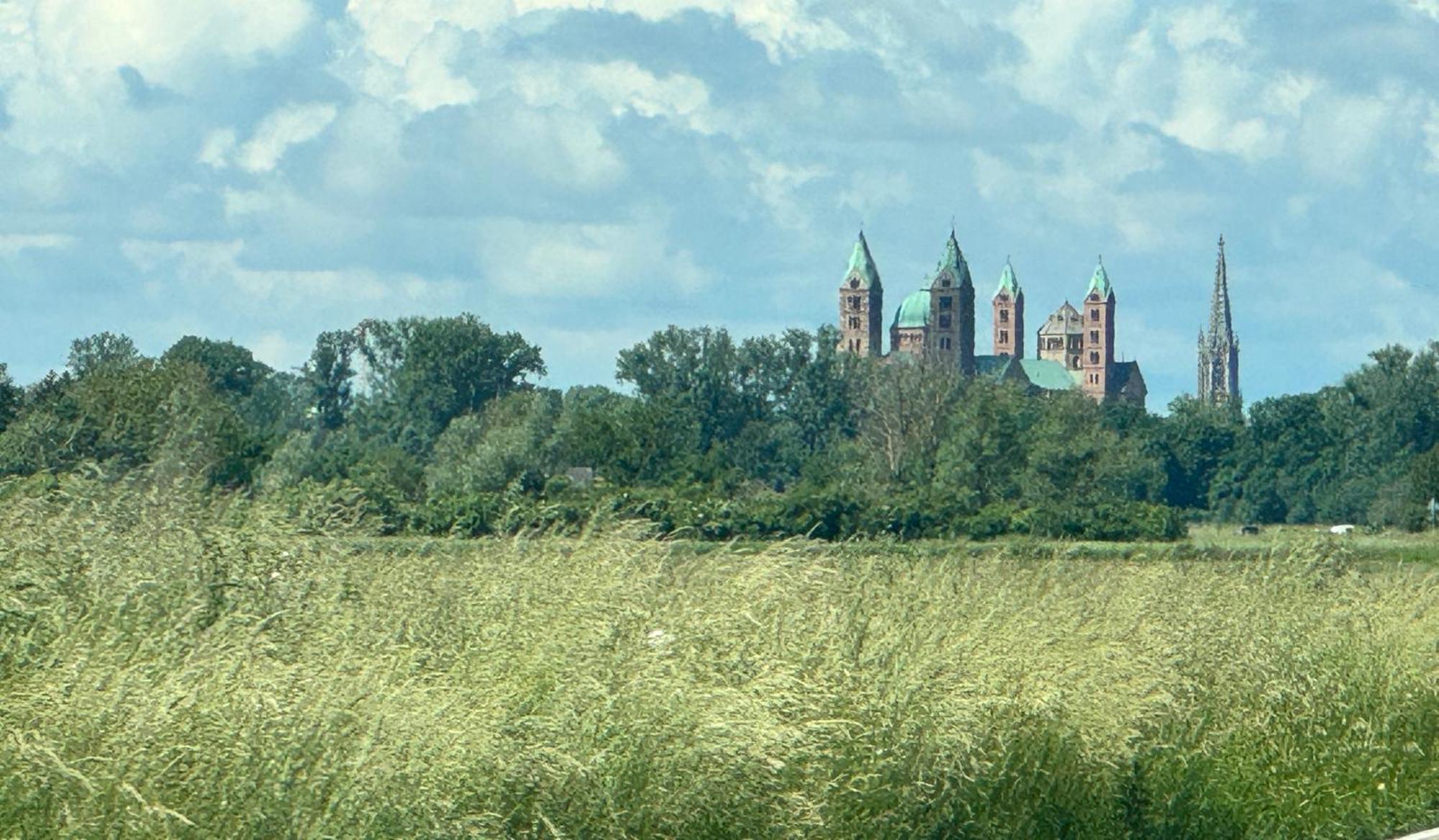 Ferienhaus Hoffmann Am Rheinbogen Altlussheim Exteriör bild
